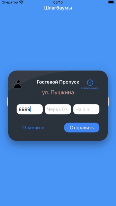 Форма гостевого пропуска в приложении InGate
