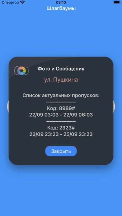 Список действующих гостевых пропусков InGate